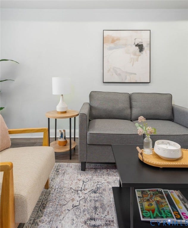 Light-toned wall finish, wood-look flooring, and a decorative area rug