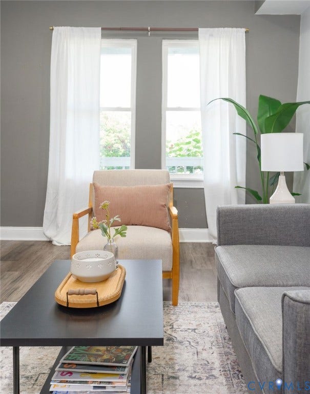 Dual windows with white drapery and gold-tone rods