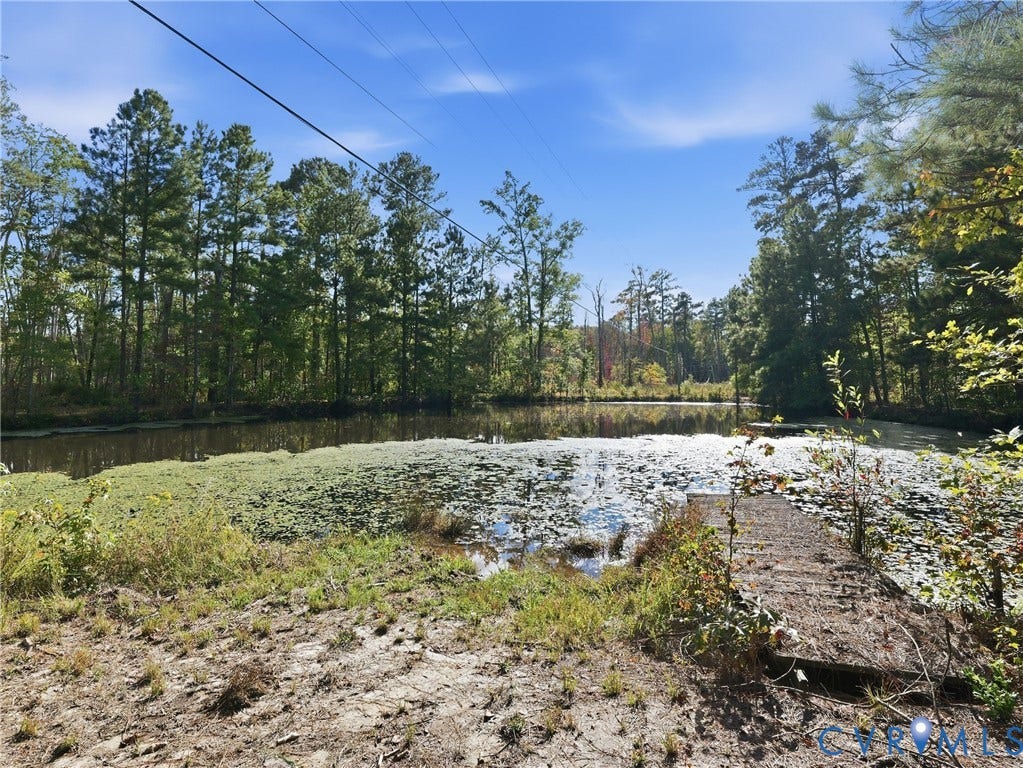 6723 Bull Hill Road, Prince George, VA 23875 Waterfront property featuring a pond, a wooden dock, and surrounding mature trees