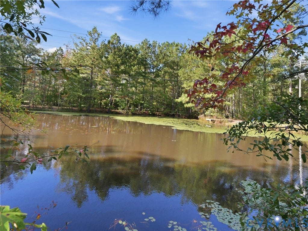 6723 Bull Hill Road, Prince George, VA 23875 Private pond featuring a natural shoreline and mature perimeter trees