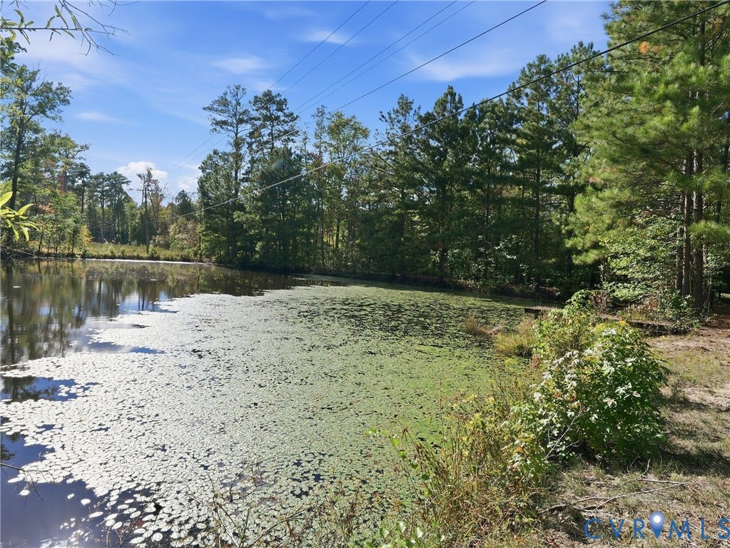 6723 Bull Hill Road, Prince George, VA 23875 Private pond featuring natural vegetation and surrounding mature pine and hardwood trees