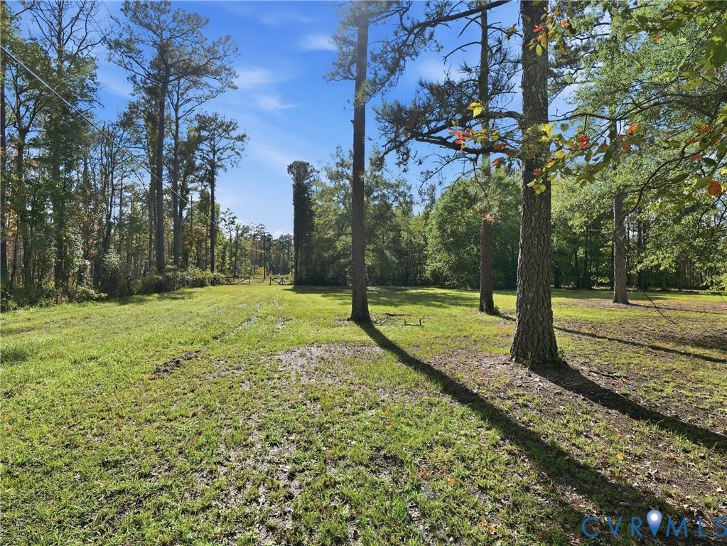 6723 Bull Hill Road, Prince George, VA 23875 Expansive lot featuring mature hardwood and pine trees across a grassy expanse