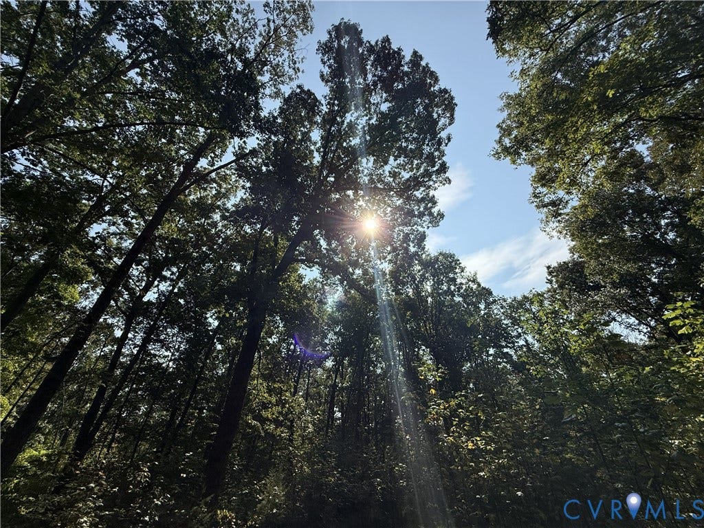 1198 Lickinghole Road, Goochland, VA 23063 1198 Lickinghole Road, Goochland, VA 23063