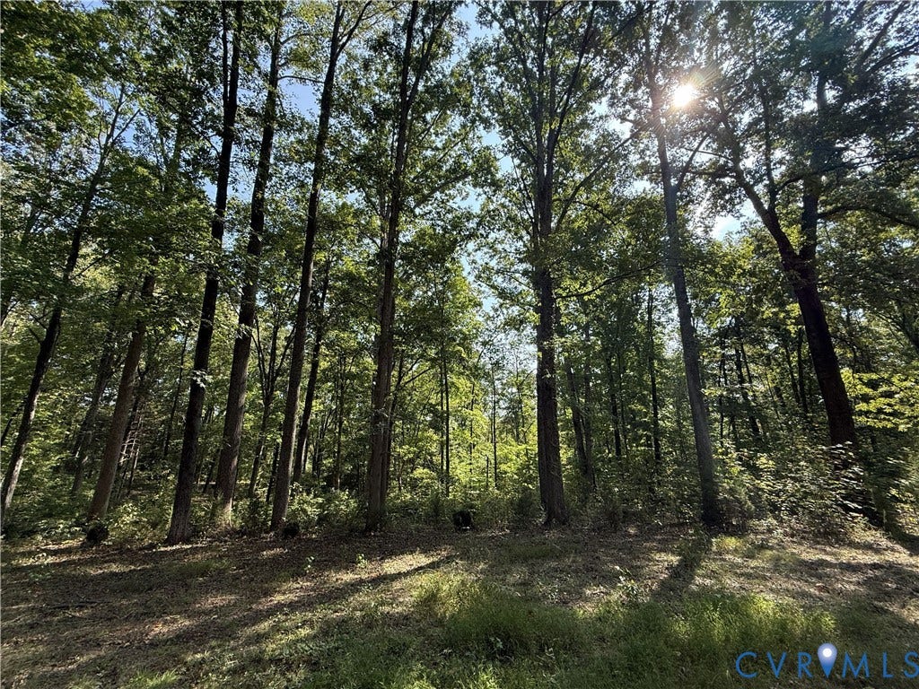 1198 Lickinghole Road, Goochland, VA 23063 1198 Lickinghole Road, Goochland, VA 23063