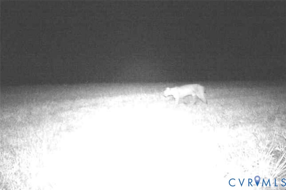 0 Anderson Highway, Powhatan, VA 23139 bobcat