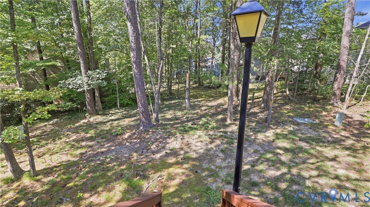 2203 Rockwater Terrace, Henrico, VA 23238 Private wooded lot with mature trees and a sloped terrain