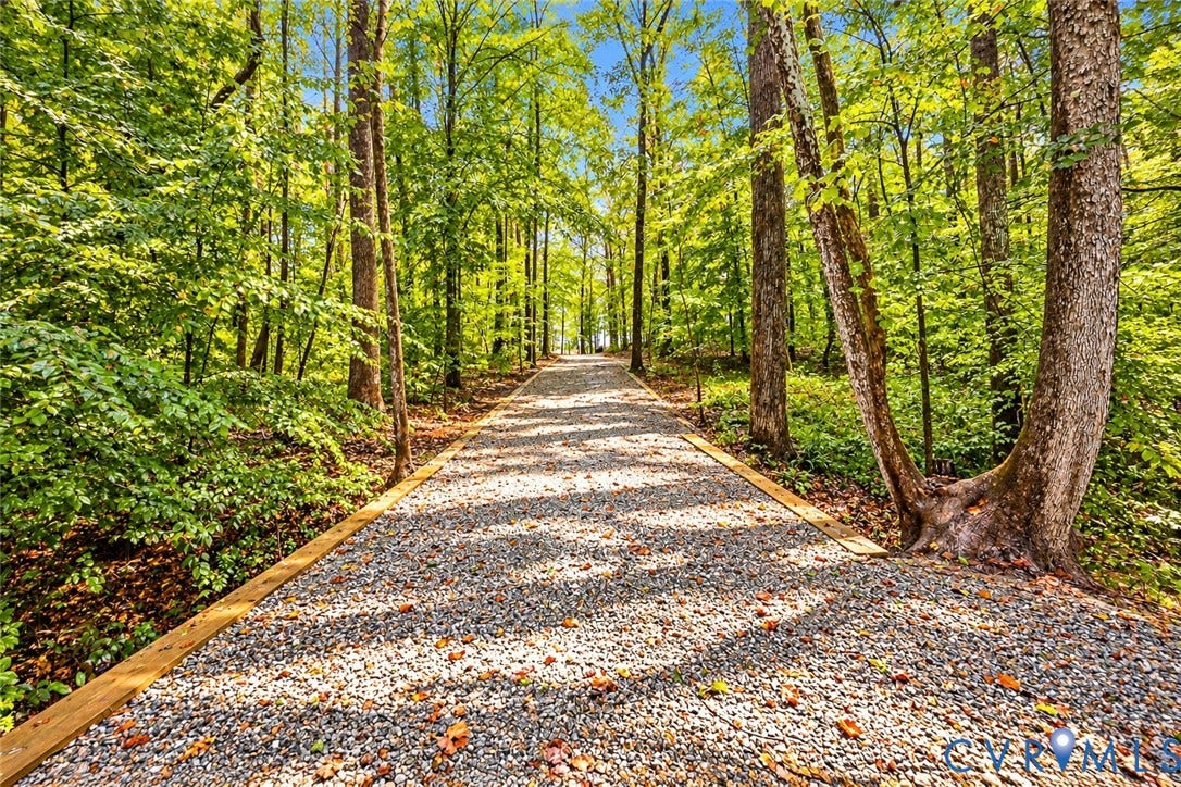 Gravel pathway with timber edging, surrounded by mature trees and lush foliage
