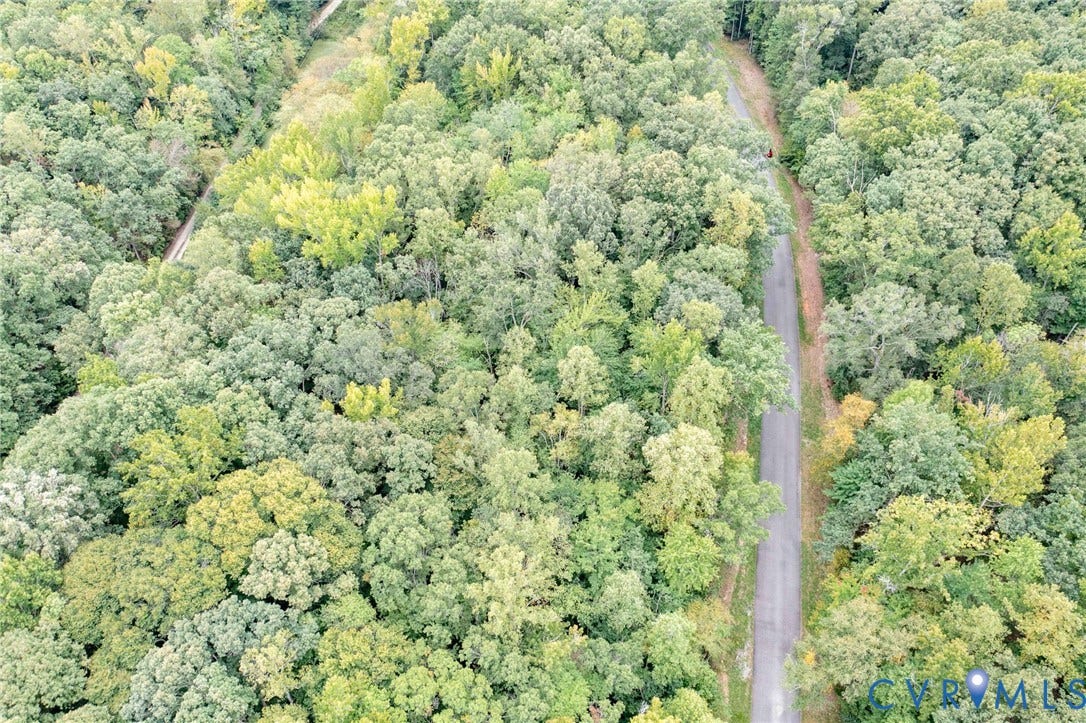 0 Taurman park Drive, Taurman Park, Powhatan, VA 23139 Mature tree canopy, dense foliage, and natural surroundings