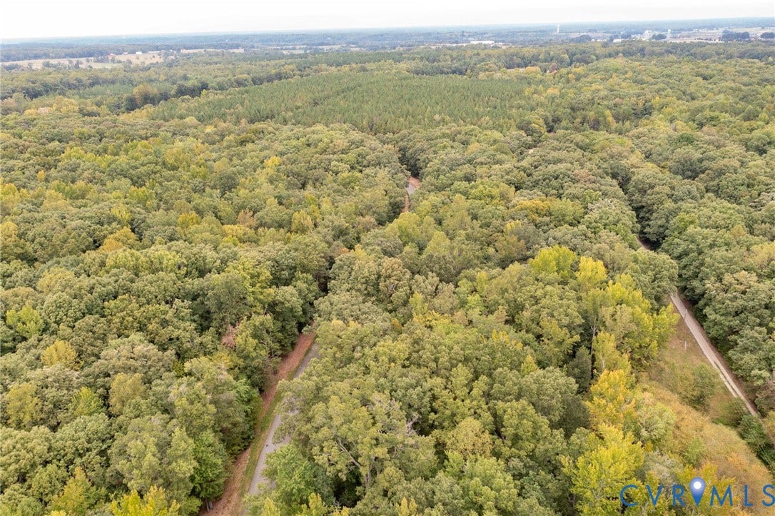 0 Taurman park Drive, Taurman Park, Powhatan, VA 23139 Expansive wooded acreage featuring diverse tree coverage and established trails