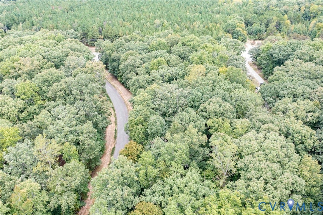 0 Taurman park Drive, Taurman Park, Powhatan, VA 23139 Wooded landscape with two distinct unpaved paths