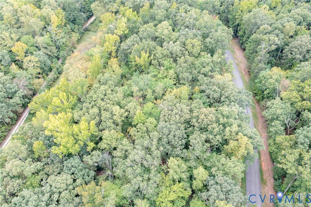 0 Taurman park Drive, Taurman Park, Powhatan, VA 23139 Expansive wooded lot featuring a winding unpaved road