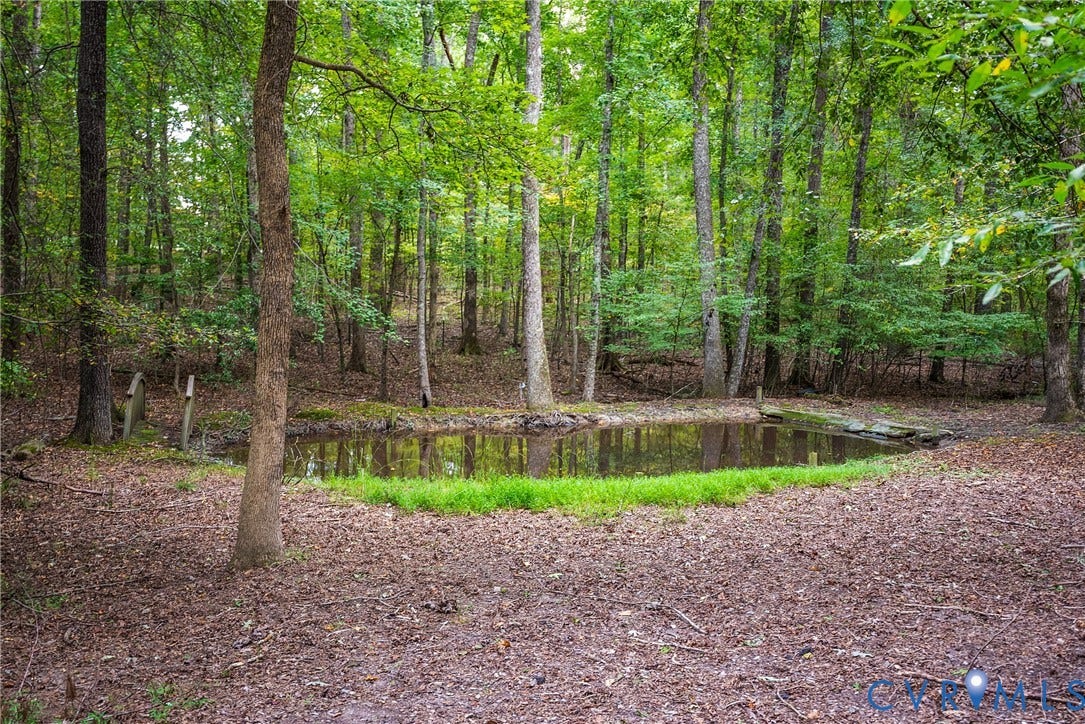 1575 Morewood Drive, Powhatan, VA 23139 Pond with Bridge