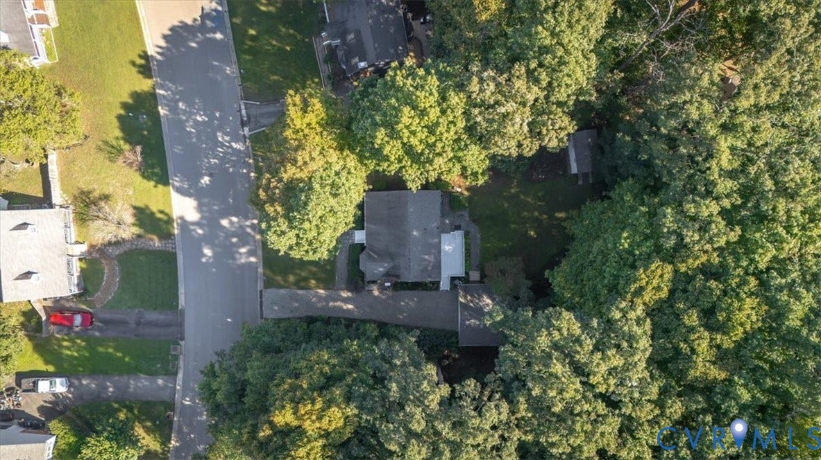 Tree-lined street with residential properties