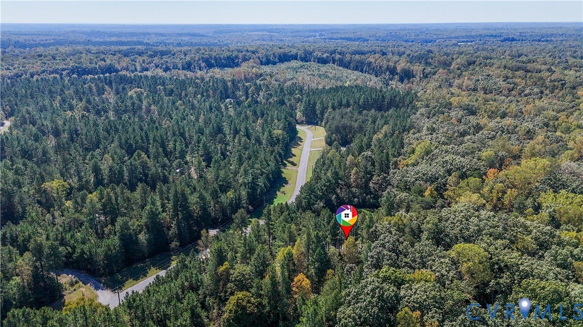 700 Manchester Road, Louisa, VA 23024 Extensive wooded area with mixed deciduous and evergreen trees, featuring a paved road