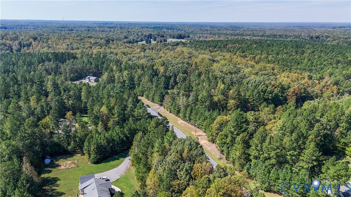 700 Manchester Road, Louisa, VA 23024 Expansive wooded landscape with mature trees and a paved access road