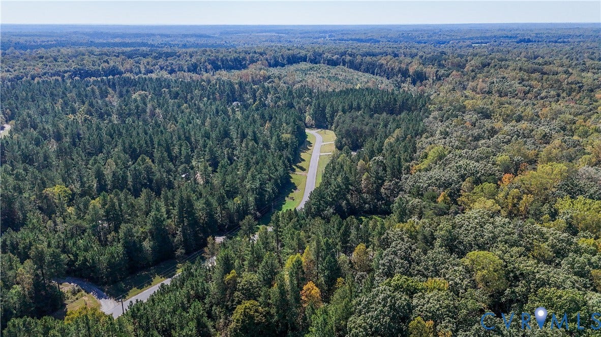 700 Manchester Road, Louisa, VA 23024 Expansive wooded acreage featuring diverse tree coverage and paved roads