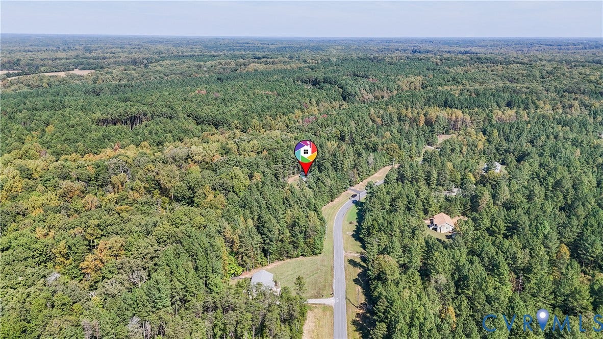 700 Manchester Road, Louisa, VA 23024 Expansive treed landscape with a paved road