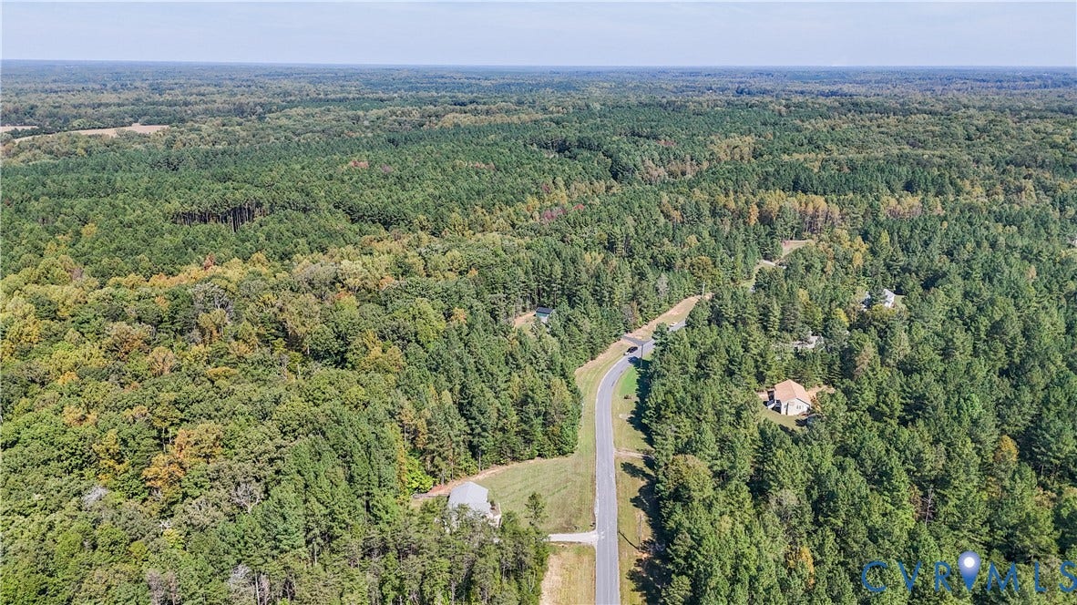 700 Manchester Road, Louisa, VA 23024 Expansive wooded landscape with scattered residential properties