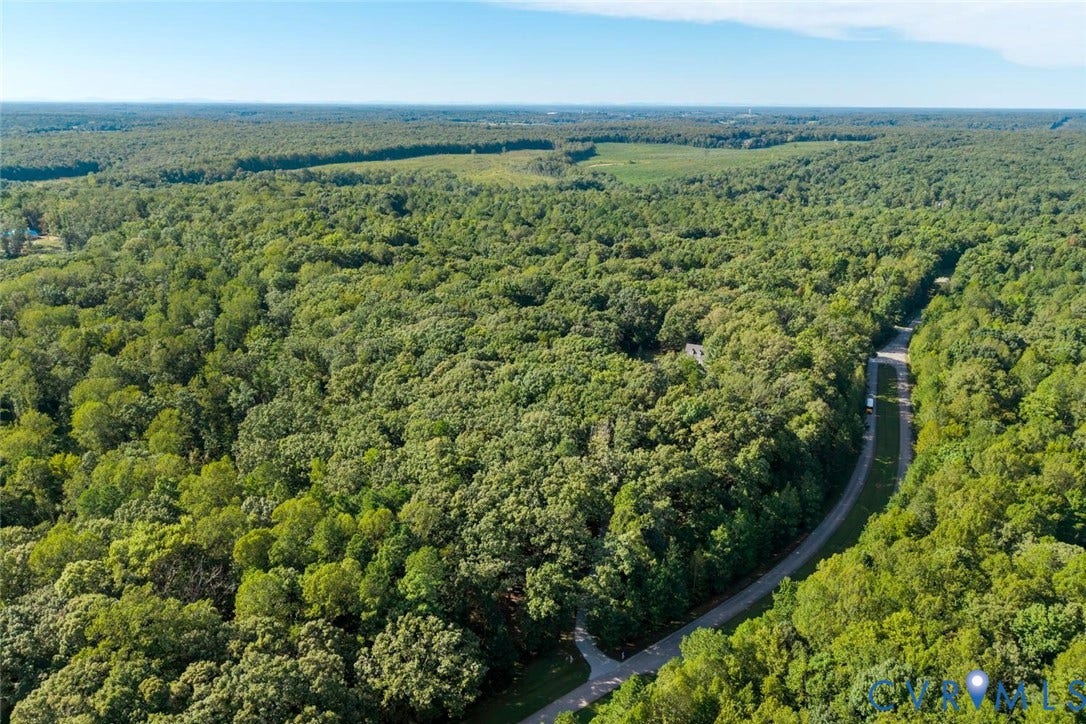 Expansive wooded landscape with a paved road