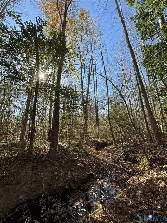 Lot 4 Diggstown Rd, Bumpass, VA 23024 Creek along front property line