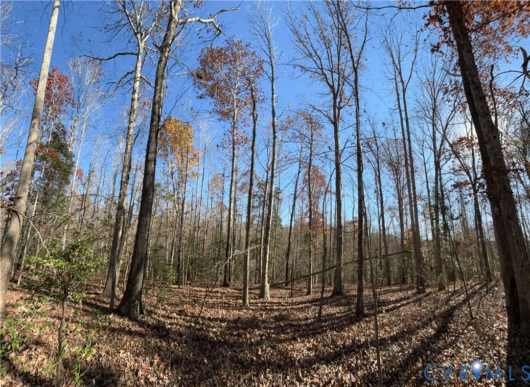 Lot 4 Diggstown Rd, Bumpass, VA 23024 From potential homesite location