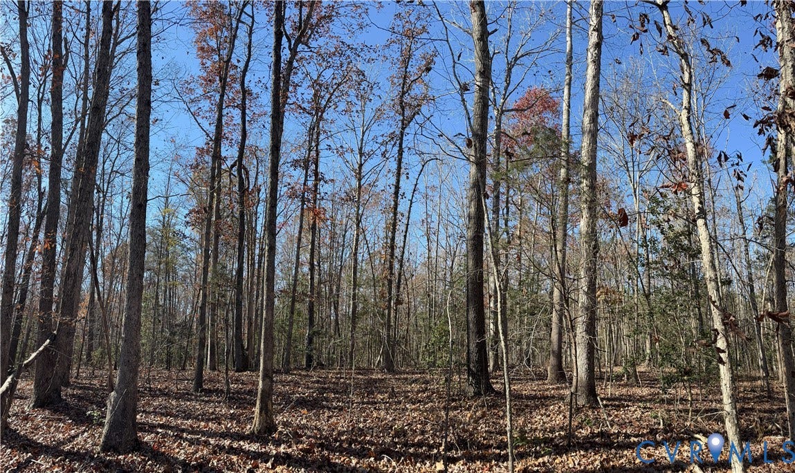Lot 4 Diggstown Rd, Bumpass, VA 23024 Looking up the ridge at the potential homesite