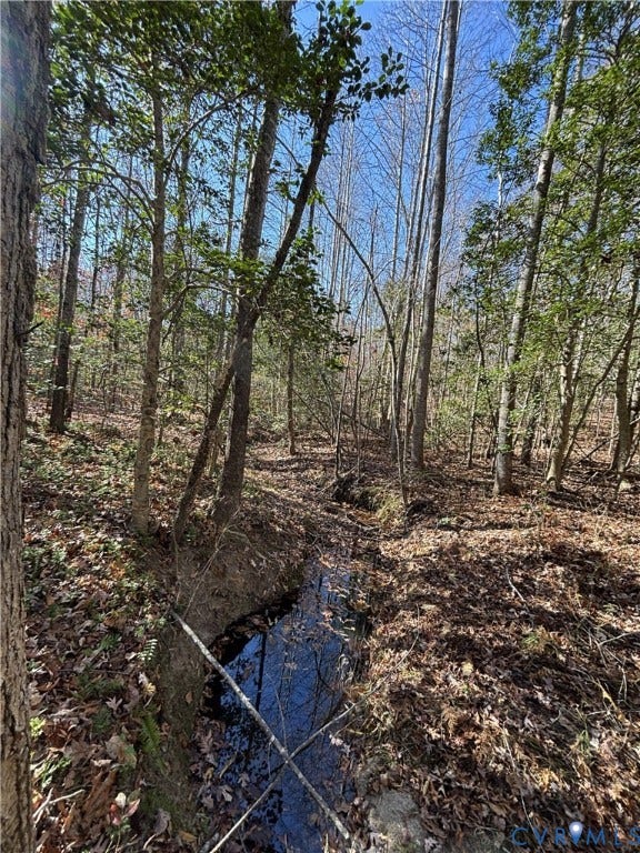 Lot 4 Diggstown Rd, Bumpass, VA 23024 Creek along front property line