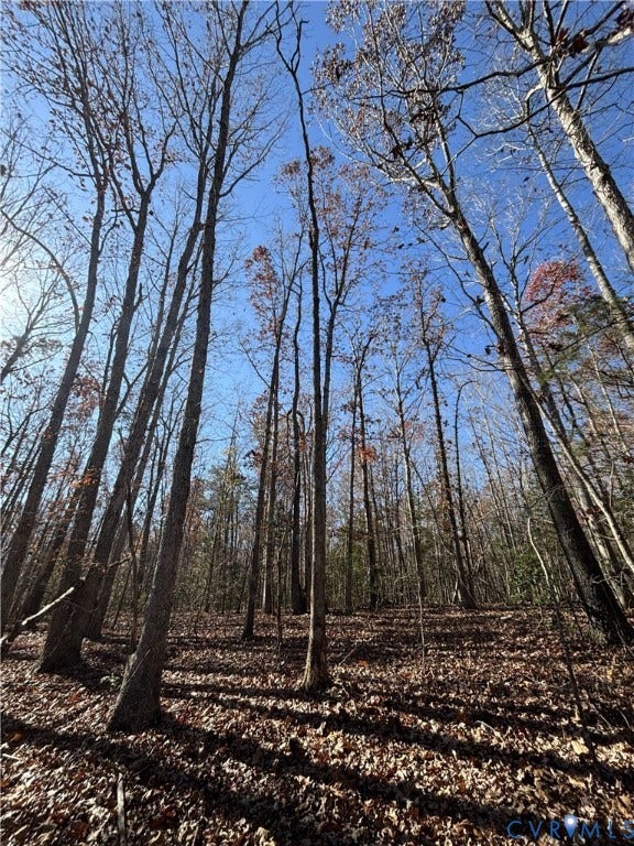 Lot 4 Diggstown Rd, Bumpass, VA 23024 Looking up the ridge at the potential homesite