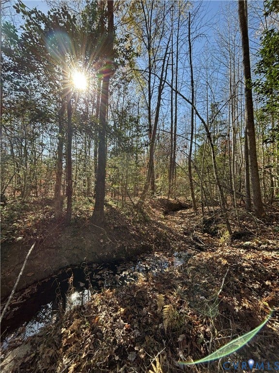Lot 4 Diggstown Rd, Bumpass, VA 23024 Creek along front property line