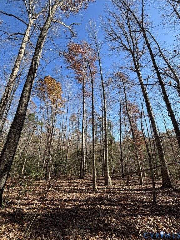 Lot 4 Diggstown Rd, Bumpass, VA 23024 Lot 4 Diggstown Rd, Bumpass, VA 23024