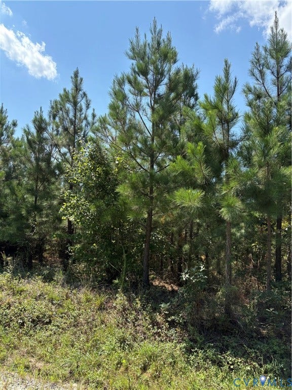 1 Maxey Mill, Cumberland, VA 23040 Wooded lot featuring mature pine trees and lush groundcover