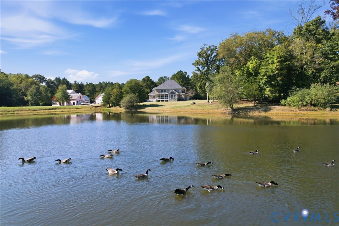 The "living pond" is fed naturally by several streams and dammed on one end, keeping the water flowing and minimizing the nuisance of mosquitoes