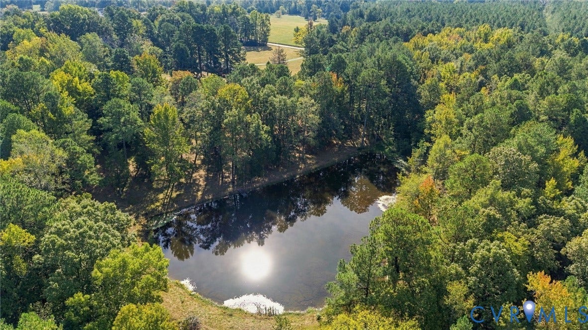 Aerial view of the pond