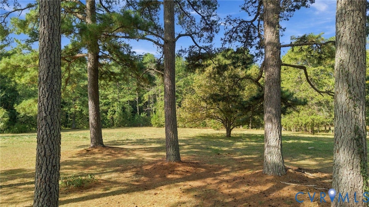 Looking from house toward the pond.