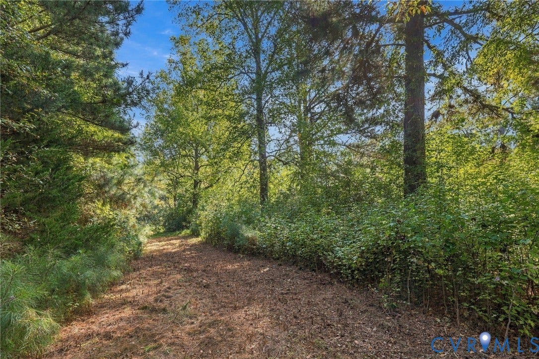 Down toward the pond, cleared path going along the back of the yard.