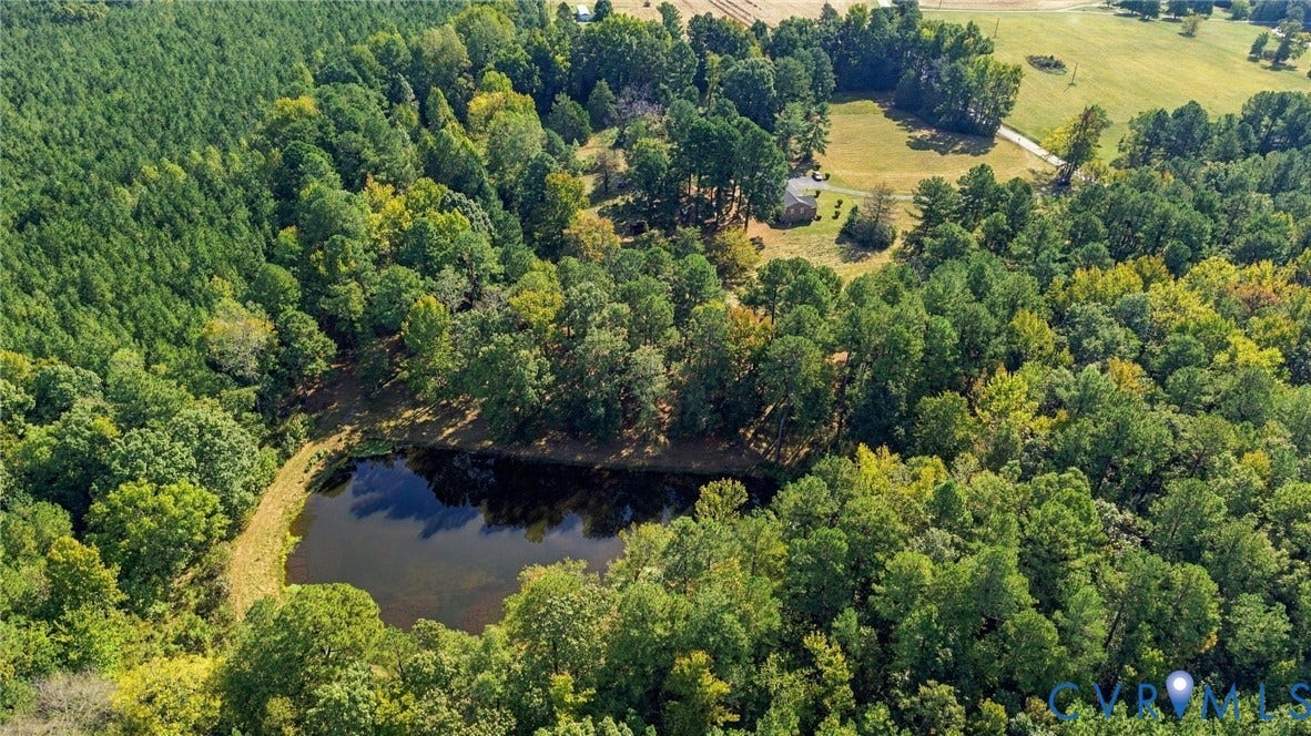 Aerial view of the pond