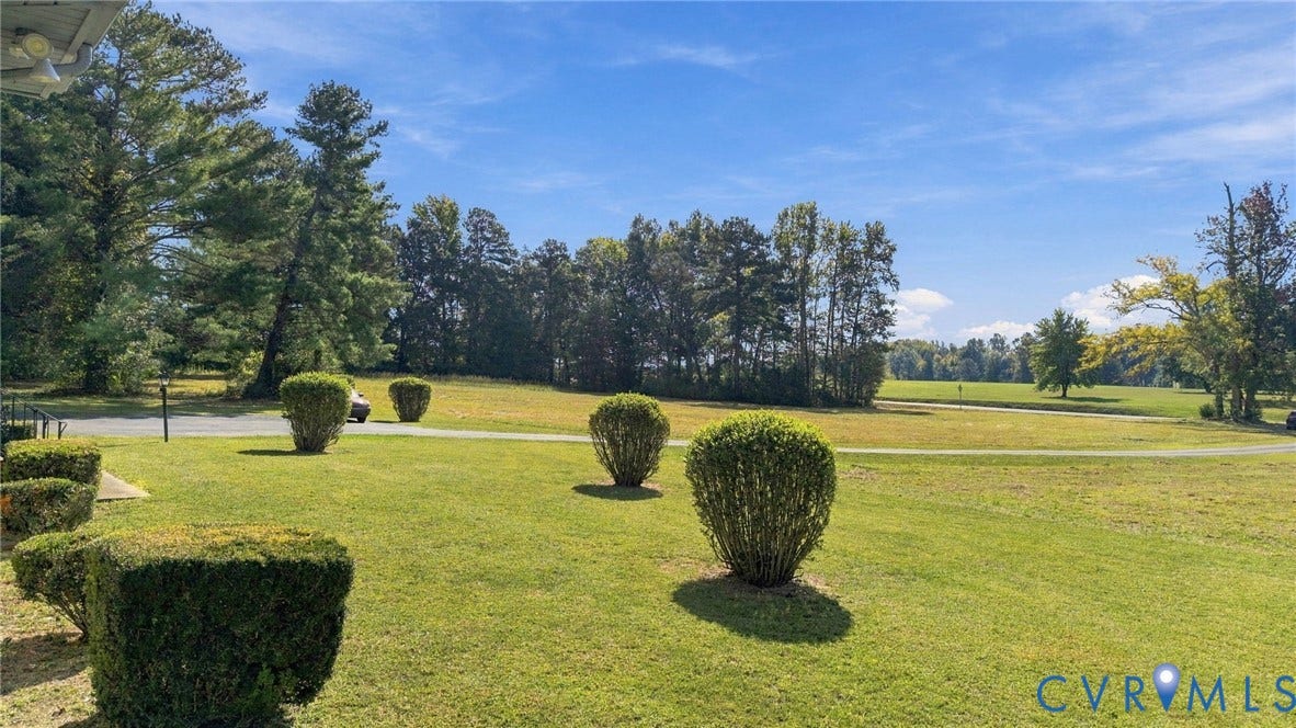 Front yard - or pasture?  - Or hayfield?