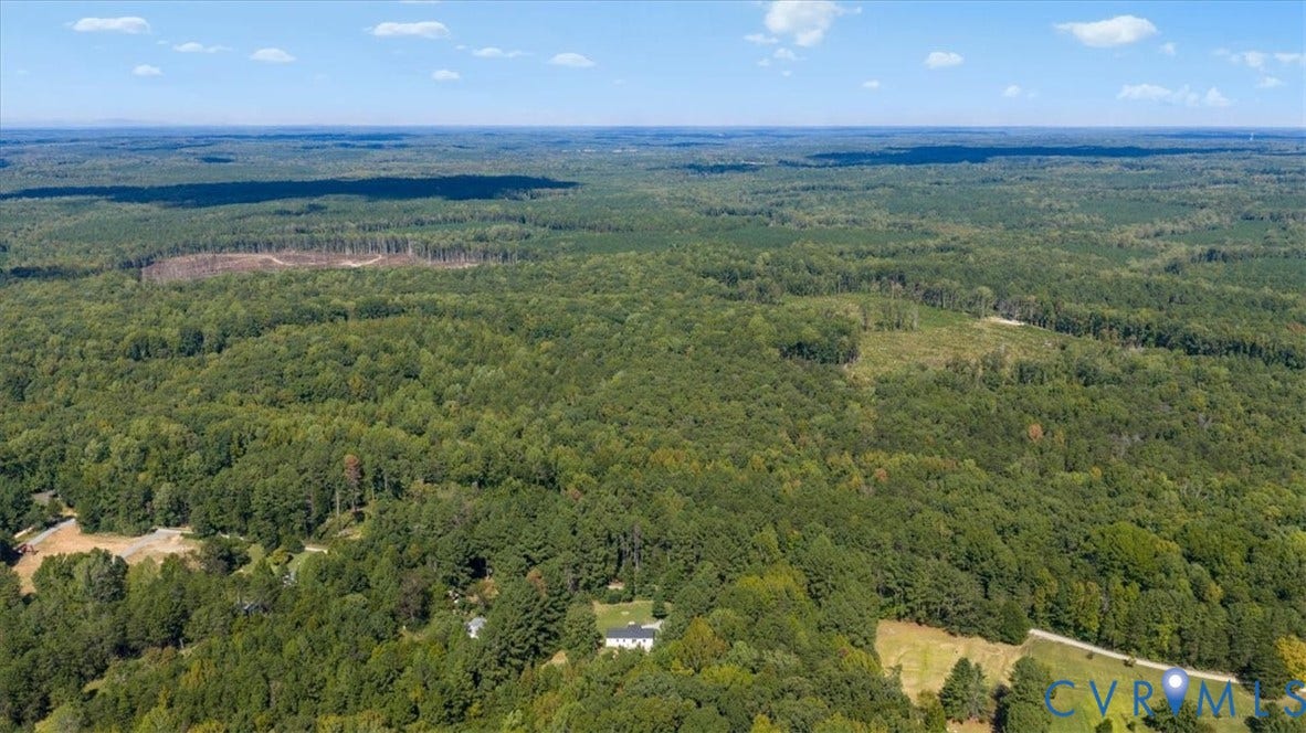 115 Mount Airy Lane, Cumberland, VA 23040 Expansive wooded acreage featuring diverse tree coverage and multiple clearings