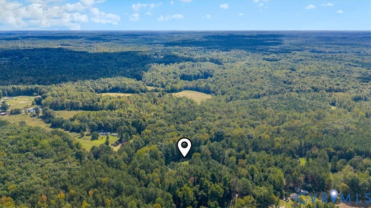 115 Mount Airy Lane, Cumberland, VA 23040 Expansive wooded acreage with a clearing and surrounding tree canopy