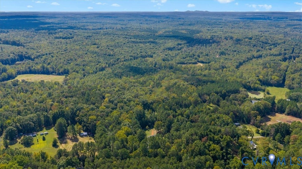 115 Mount Airy Lane, Cumberland, VA 23040 Expansive wooded acreage featuring diverse tree cover and open clearings