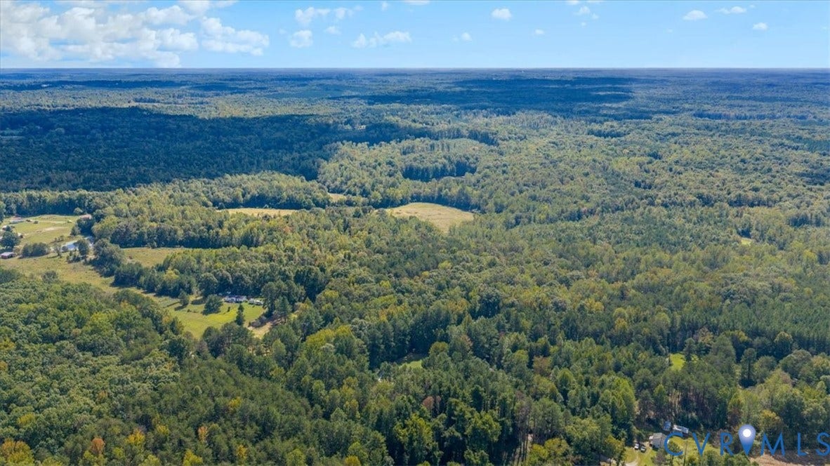 115 Mount Airy Lane, Cumberland, VA 23040 Expansive wooded acreage featuring a cleared building site and surrounding mature trees
