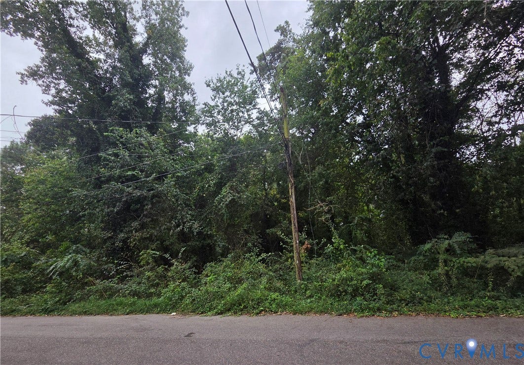 1411 Stiff Street, Fulton, Richmond, VA 23231 Additional content