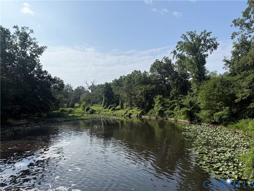 2304 Buckingham Avenue, Henrico, VA 23228 Bryan Park