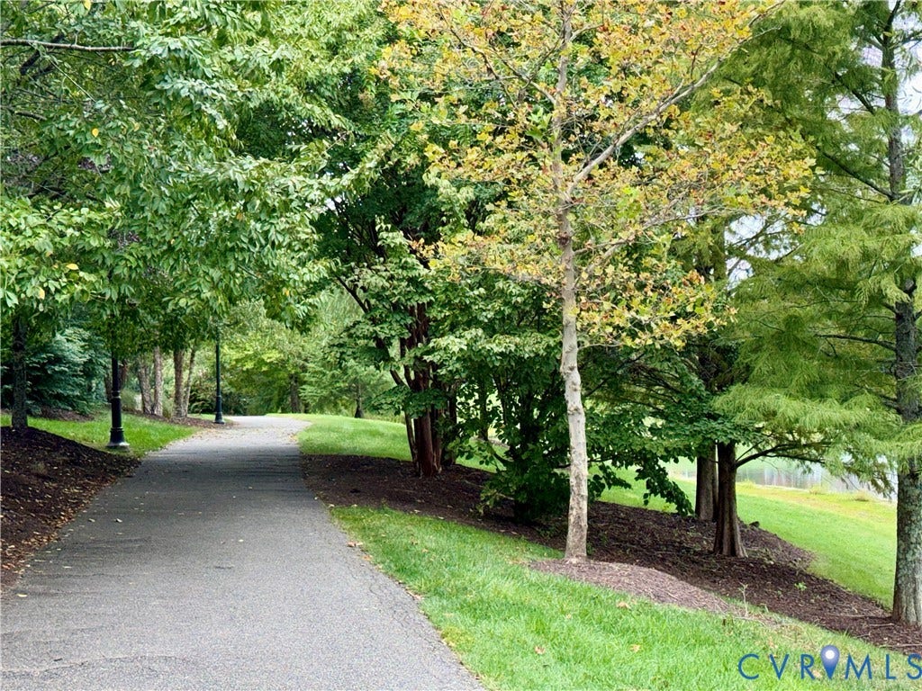 3900 Liesfeld Place, Glen Allen, VA 23060 Paved pathway bordered by mature trees and manicured lawns