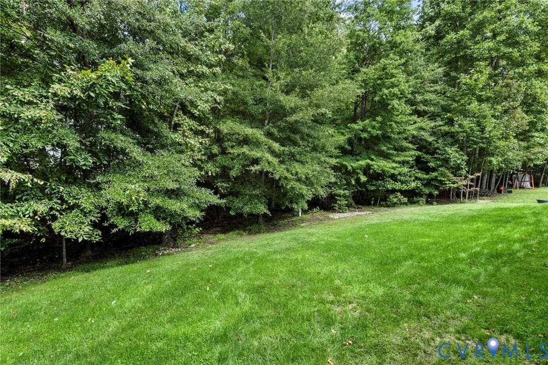 Rear Yard with plenty of privacy