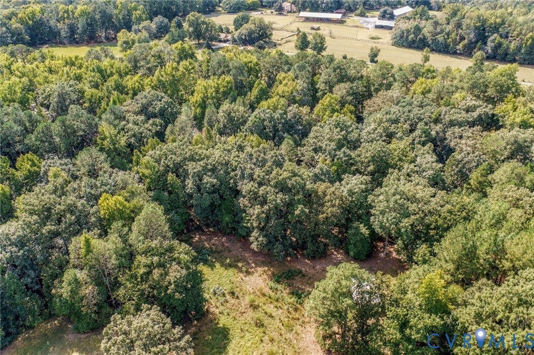 10215 River Road, South Chesterfield, VA 23803 Expansive wooded terrain with mature trees