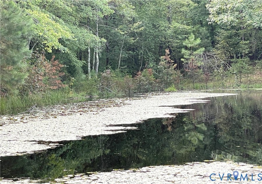 Property photo for 10.27 AC College Park Lane, Keysville, VA