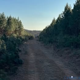 Property photo for Lot 14 Green Creek Road, Schuyler, VA
