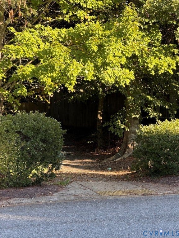 10041 POLLEN Drive, Hanover, Mechanicsville, VA 23116 A peek at the trail that criss-crosses through the neighbothoof