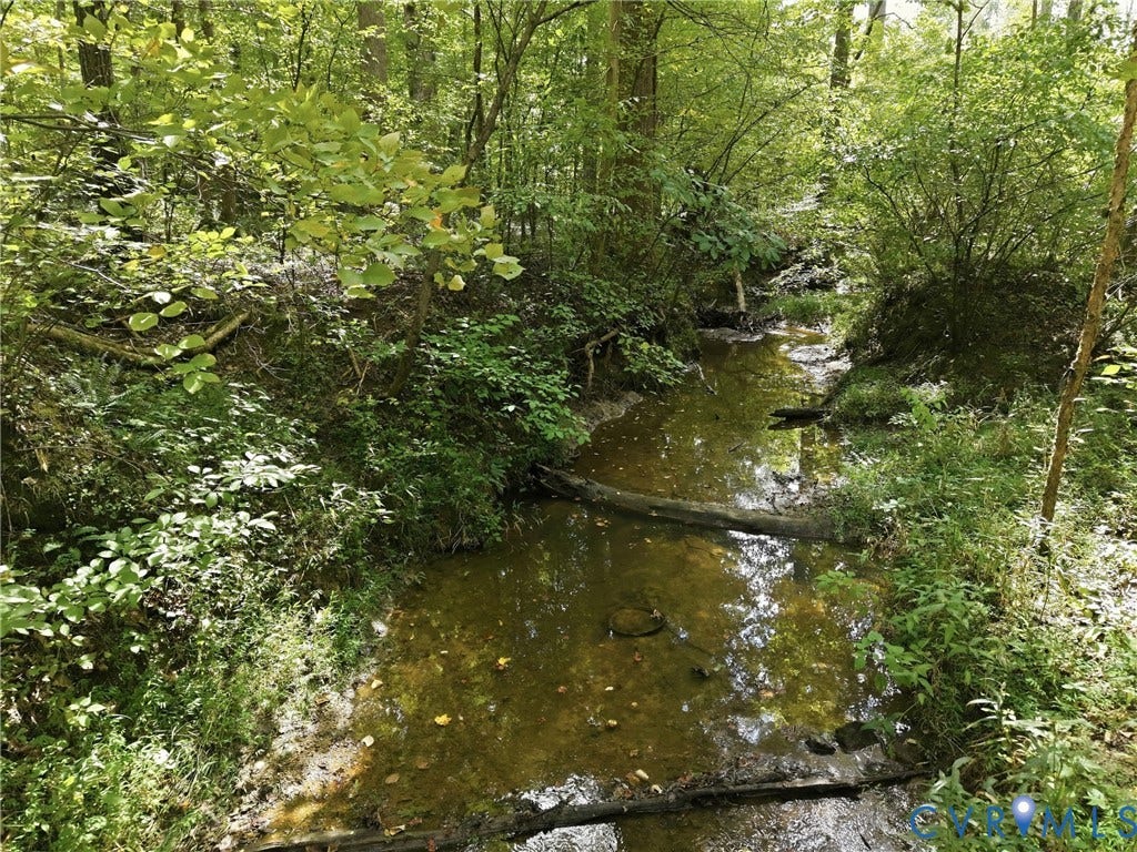 4010 Three Bridge Road, Powhatan, VA 23139 Creek behind house
